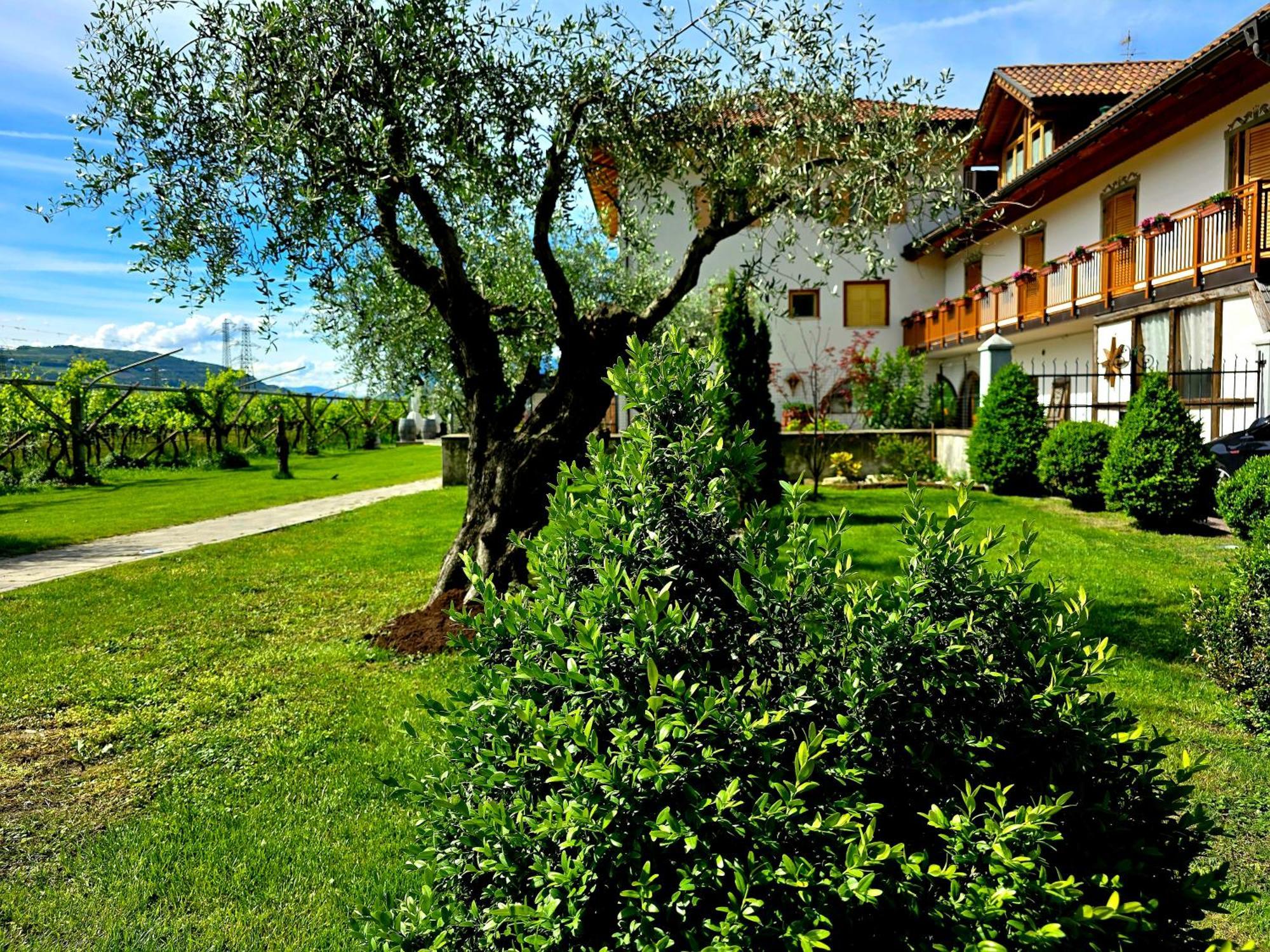 Willa Antico Fienile Agritur Mezzocorona Zewnętrze zdjęcie