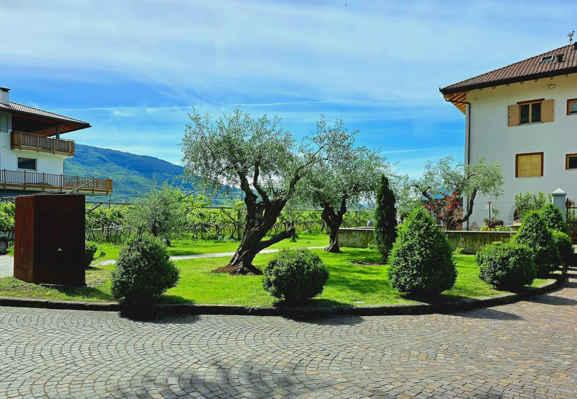 Willa Antico Fienile Agritur Mezzocorona Zewnętrze zdjęcie