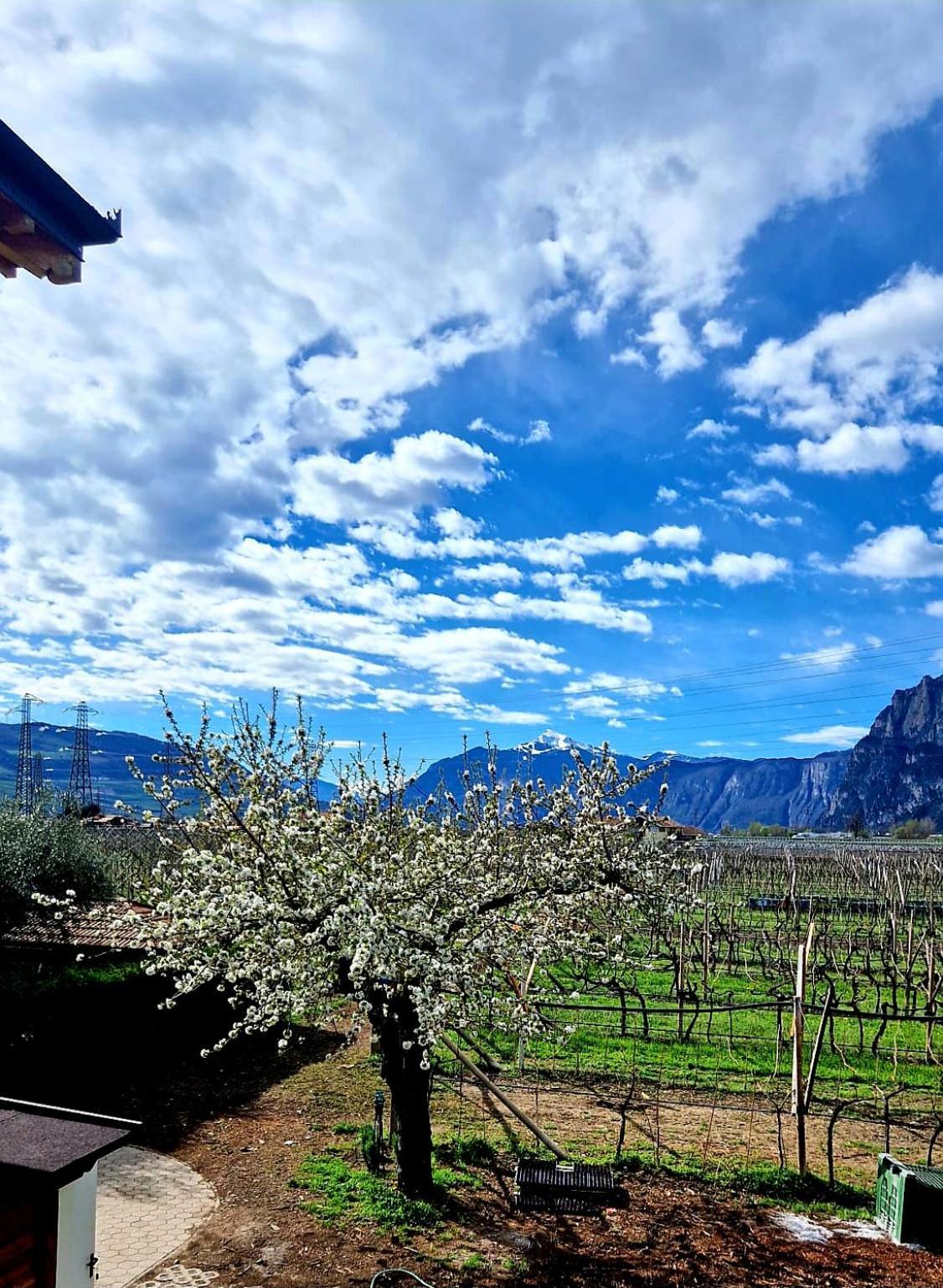 Willa Antico Fienile Agritur Mezzocorona Zewnętrze zdjęcie